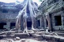 �ber 1.000 Tempel wurden bisher in der riesigen Tempelstadt von Angkor ausgegraben. Angkor Wat ist der gr��te und am besten erhaltene der Anlage. (Mai 2006) 