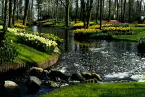 Tulpenbl�te im Keukenhof in den Niederlanden im Jahr 1990