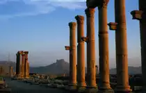 Blick aus der antiken Ruinenstadt der Oase Palmyra in der syrischen W�ste, kurz nach Sonnenaufgang, auf die arabische Zitadelle im Mai 1986