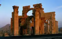 In der Oase Palmyra in der syrischen W�ste im Mai 1989 kurz nach Sonnenaufgang