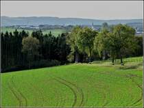 In der Nhe von Knapphoscheid bietet sich die Gelegenheit einen Blick in Richtung Eschweiler zu werfen. 26.10.2010 (Jeanny) 