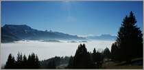 Dichter Nebel im Tal, strahlender Sonnenschein in der H�he. 
(31.01.2011)