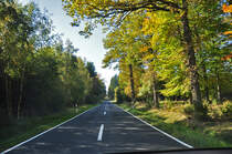  Herbstwald-Stra�e  in der Eifel bei Bad M�nstereifel - 12.10.2010
