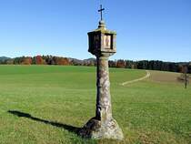 Ein Bildstock, auch Marterl;Helgenst�ckli; Wegstock oder Kreuz bzw. Bets�ule bezeichntet, ziert einen Wegesrand im M�hlviertel;101029