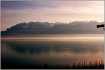 Die Abendstimmung am Genfersee wird mit dem Fotoapparat festgehalten.
(08.02.2011)