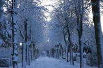 Winterm�rchen in Wyk auf F�hr am 21.12.2010