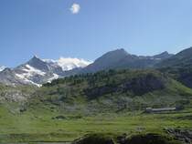 Unterwegs mit der Bernina Bahn am 10.07.2008 von St. Moritz nach Tirano.