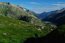 Grimselpass (01.08.2010)