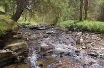 Wir schreiben den 7. Mai 2011, der Perlenbach der hier so wenig Wasser f�hrt ist eigentlich um diese Jahreszeit ein recht reissendes Gebirgsfl�sschen am Westrand der deutschen Eifel nahe Kalterherberg.