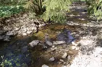 Fasst zu einem Rinnsal verkommen, der Fuhrtsbach so kurz vor seiner M�ndung in den Perlenbach.......Regen fehlt in diesem Fr�hjahr. 7.Mai2011