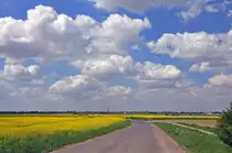 Fr�hlingsnatur, Sch�nwetterwolken und Rapsfelder ohne Ende, Eu-Wi�kirchen 03.05.2011