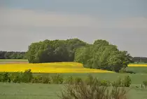 Landschaftbild zwischen Nienburg und Hannover, am 09.05.2011.