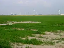 Windpark bei Wesselburen (10.05.2011)