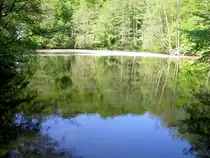 See im Schlo�park Friedrichsruh in Aum�hle bei Hamburg (08.05.2011)