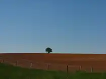Landschaft in der N�he von Geichlingen im Deutsch-Luxemburgischen Naturpark (25.04.2011)