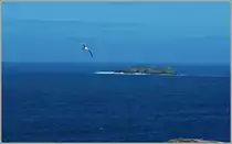 Die M�we und das Meer
(10.05.2011)