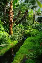 Frankfurt, Palmengarten (26.04.2009)