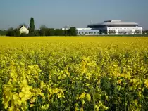 Rapsfeld und die SAP-Arena im Mannheimer B�sfeld im April 2011.