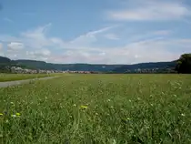 der Donauradweg f�hrt durch das weite Donautal zwischen Tuttlingen und M�hlheim, Aug.2007