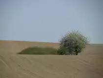 Nordwestmecklenburg, mecklenburgische Landschaft bei Thorstorf an der Stra�e K 18 von Damshagen nach Grevesm�hlen 25.04.2011