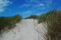 D�nen bei Houstrup in D�nemark. 11.6.2011