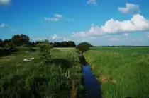 In L�nne Hede in D�nemark flie�t dieser Bach durch die Heidelandschaft. 12.6.2011