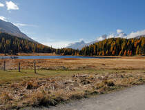 Am sch�nen Stazersee, 11. Okt. 2010, 13:25