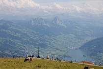 Blick auf die Kleine und die Grosse Mythen (Berggipfel oberhalb Bildmitte), rechts unten sichtbar der Lauerzersee. Perfekte Schweiz mit K�hen und (nicht mehr im Bild, aber h�rbar) Alphorn, sowie etwas weiter weg dem K�se. Da fehlt nur noch ein St�ck Schokolade... 12. Aug. 2011, 14:20