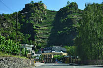 Wahnsinnig steile Weinberge im Ahrtal bei Mayscho� - 02.08.2011