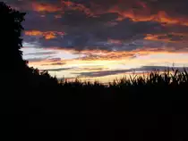 L�ndliche Abendstimmung bei Bischwind a.R., aufgenommen am 9.8.2011