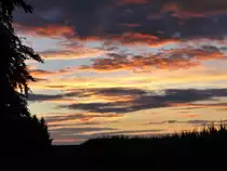 Sch�ne Abendstimmung am 9.8.2011 zwischen Waldrand und einem Maisfeld, bei Bischwind a.R.