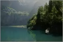 Morgenstimmung am �schinensee.
(22.08.2011)