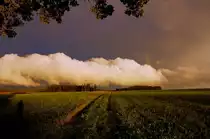 200 Meter entferntes Waldst�ck bei M�nstetten
21.09.2011