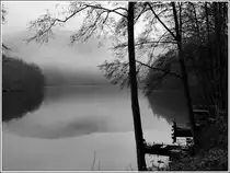 - Nebel - Geheimnisvoller Stausee der Obersauer in der N�he von Bavigne. 30.11.2011 (Jeanny)