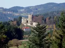 Ruine-Prandegg im M�hlviertler Land  wurde erstmals 1237 erw�hnt;101029