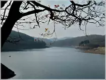 - Wassermangel - Blick �ber den Stausee der Obersauer von Insenborn aus. 19.11.2011 (Hans) 