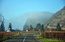 Rheinfelsen zwischen Neuwied und Bad Hnningen im Nebel - 28.11.2011