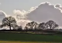 B�ume und Wolkent�rme bei Eu-Kirchheim - 05.12.2011