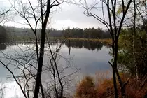 Blick auf eine geflutete Torfgrube. Nach Jahren des Abbaues wird der Natur nun wieder die Chance zur Neubildung eines Torfmoores gegeben. Hier im Pietzmoor f�hren gut ausgebaute Wanderweg und Holzsteege durch diese wundersch�ne Landschaft. Ich machte das Foto w�rend eines Ferienaufenthaltes am 24.10.2011.