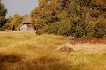 Wenn man aus den Totengrund in Richtung Wilsede wandert, hat man diesen sch�nen Anblick mit Feldscheune. 26. Oktober 2011