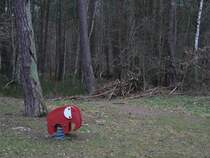 Waldspielplatz - nur dort sieht man einen roten Elefanten im Wald. Ostseebad Binz, 27.12.2011