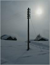 Ein kalter Winter...
Bodmen, den 7. Feb. 2012