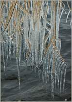 Eistropfen am See
(02.02.2012)