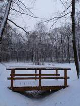 Gutspark Schenkend�bern, 10.02.2012