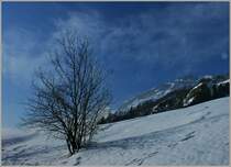 Winterstimmung im Dalatal
(07.02.2012)