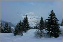 Nebel versetzt die Landschaft um Leukerbad in eine besondere Stimmung
(07.02.2012)