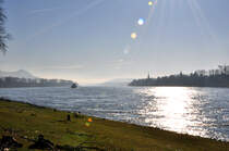 Rhein bei Bonn-Oberkassel in Richtung S�d-West im Gegenlicht - 16.01.2012
