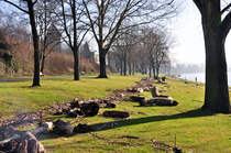  Hochwasserm�ll  am Rheinufer bei Bonn-Oberkassel - 16.01l.2012