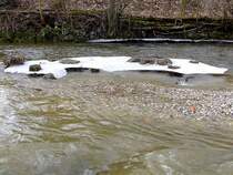 Eisplatte  schwebt  abgest�tzt an den Baumst�mpfen �ber dem Bachbett;120225