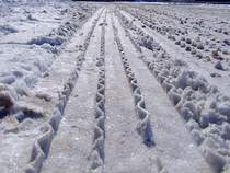 Profilspuren eines Autoreifens auf einer Schneefahrbahn bilden ein eigenwilliges Muster;120211